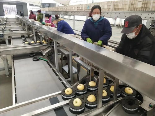 復工復產(chǎn),擼起袖子干