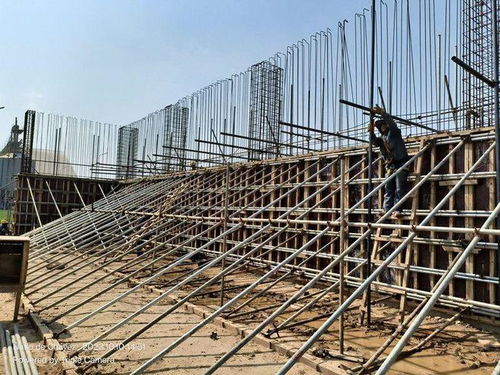 劉曉峰一行蒞臨玻利維亞圣胡利安大豆副產品加工廠項目并慰問員工