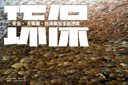 育苗池漆與養(yǎng)殖池漆在循環(huán)水工廠化水產(chǎn)養(yǎng)殖中的核心作用機(jī)理